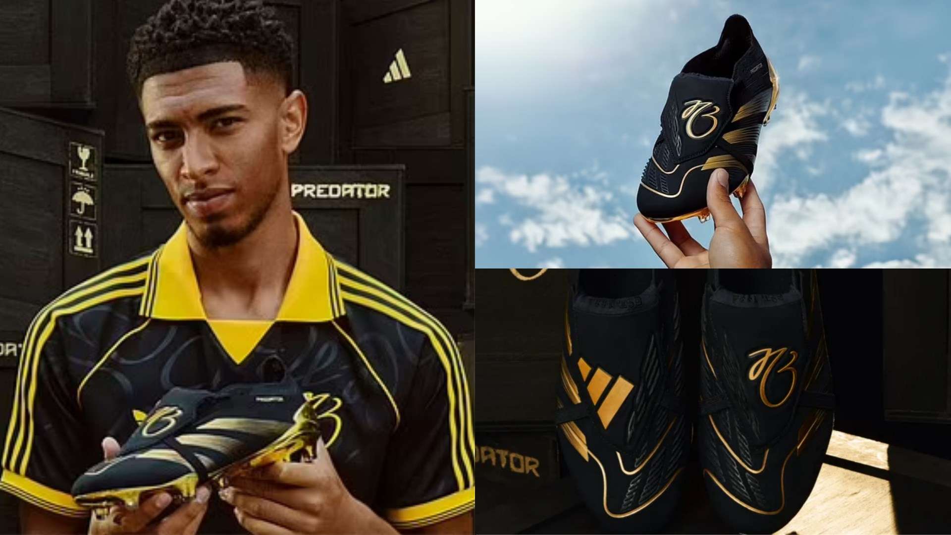 援自由化後 援自由化後